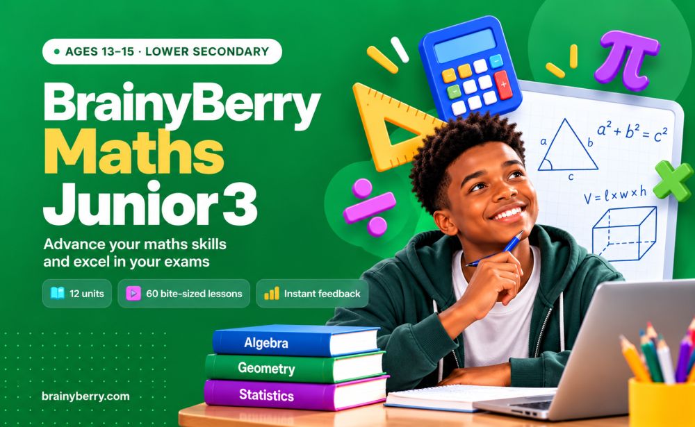 brainyberry maths junior 3